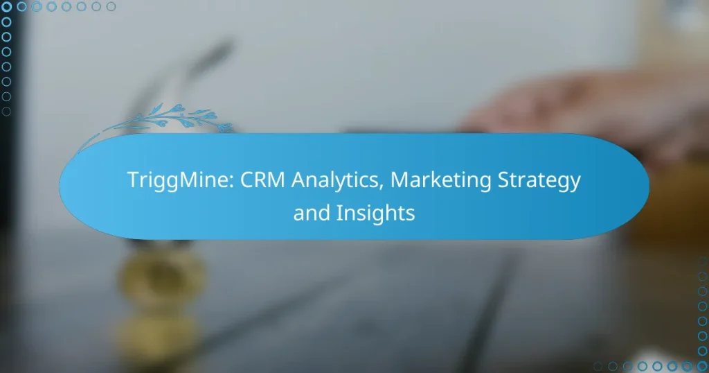 TriggMine: CRM Analytics, Marketing Strategy and Insights