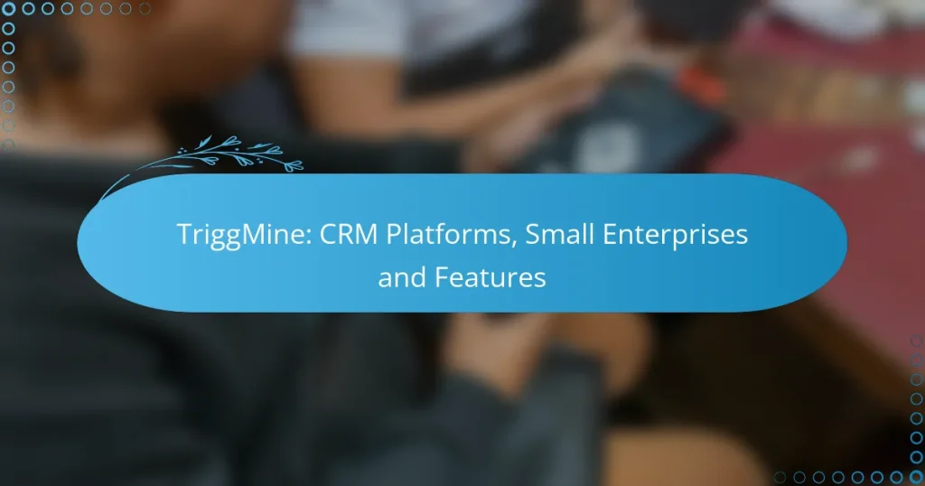 TriggMine: CRM Platforms, Small Enterprises and Features