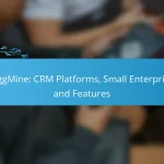 TriggMine: CRM Platforms, Small Enterprises and Features