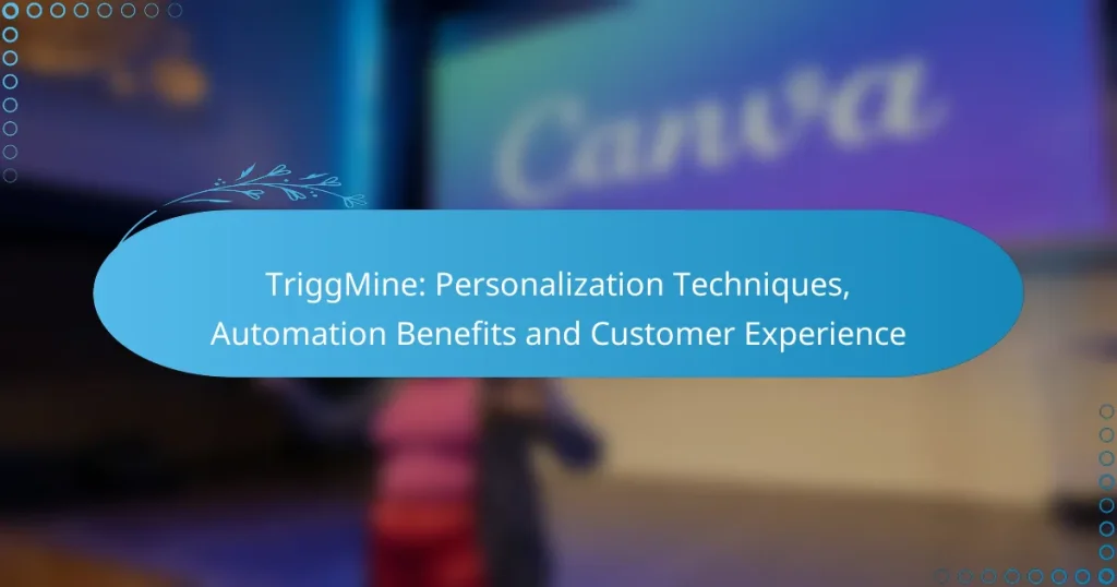 TriggMine: Personalization Techniques, Automation Benefits and Customer Experience