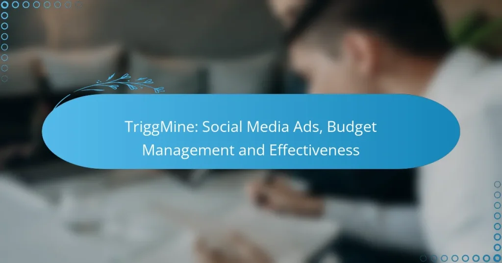 TriggMine: Social Media Ads, Budget Management and Effectiveness