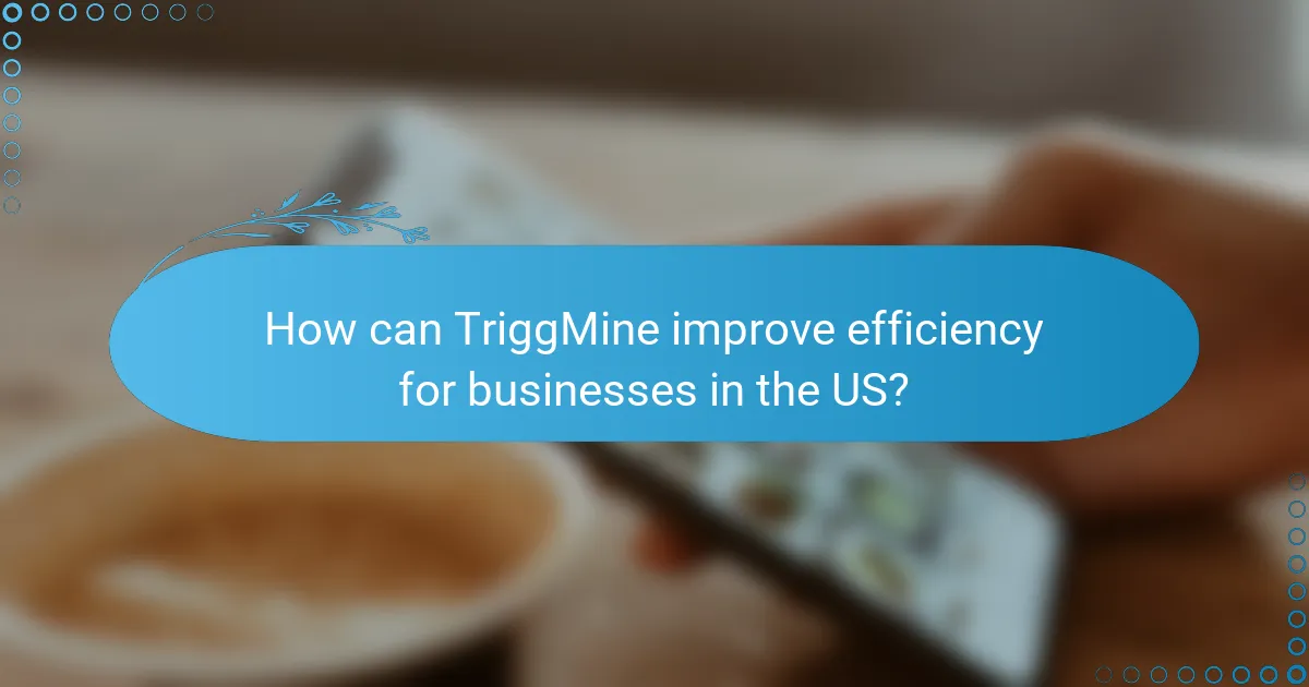 How can TriggMine improve efficiency for businesses in the US?