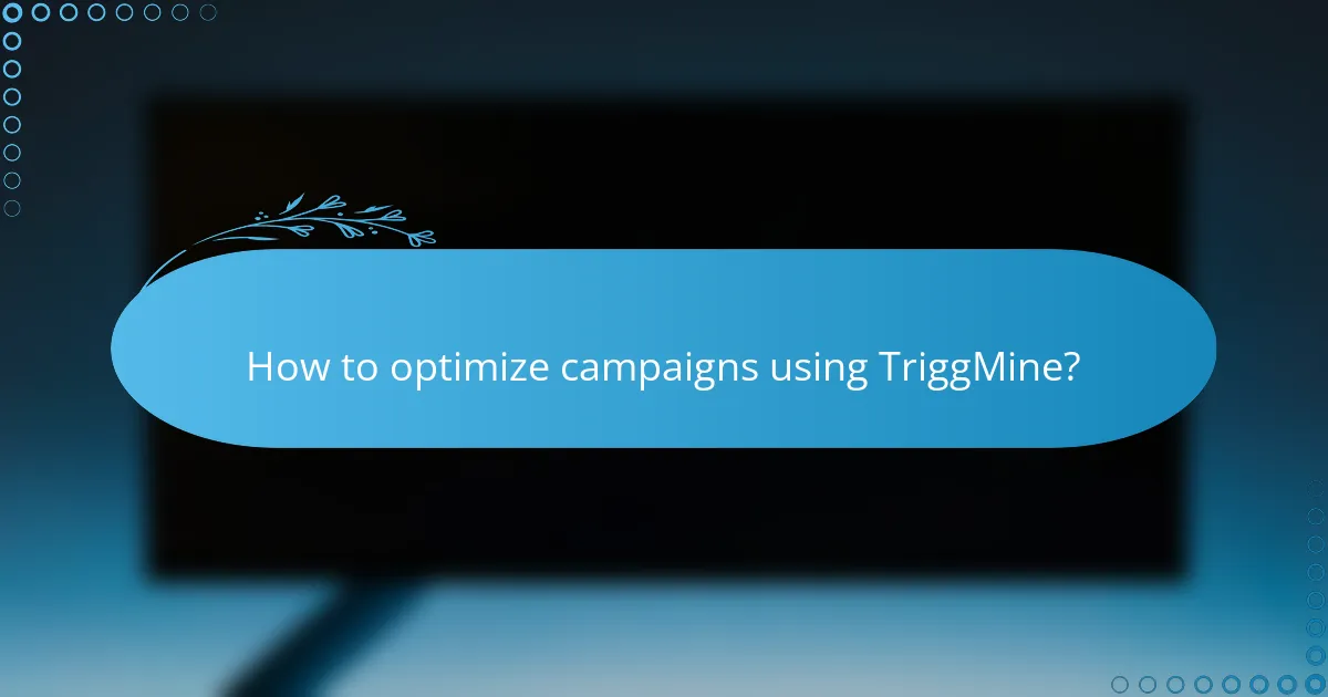 How to optimize campaigns using TriggMine?