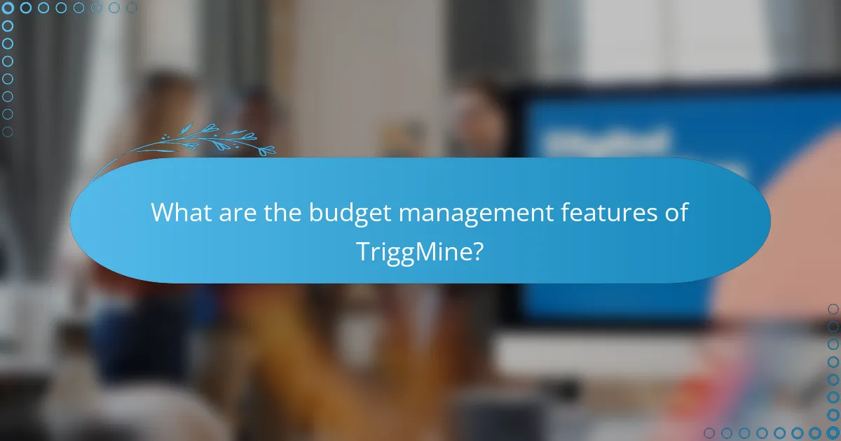 What are the budget management features of TriggMine?
