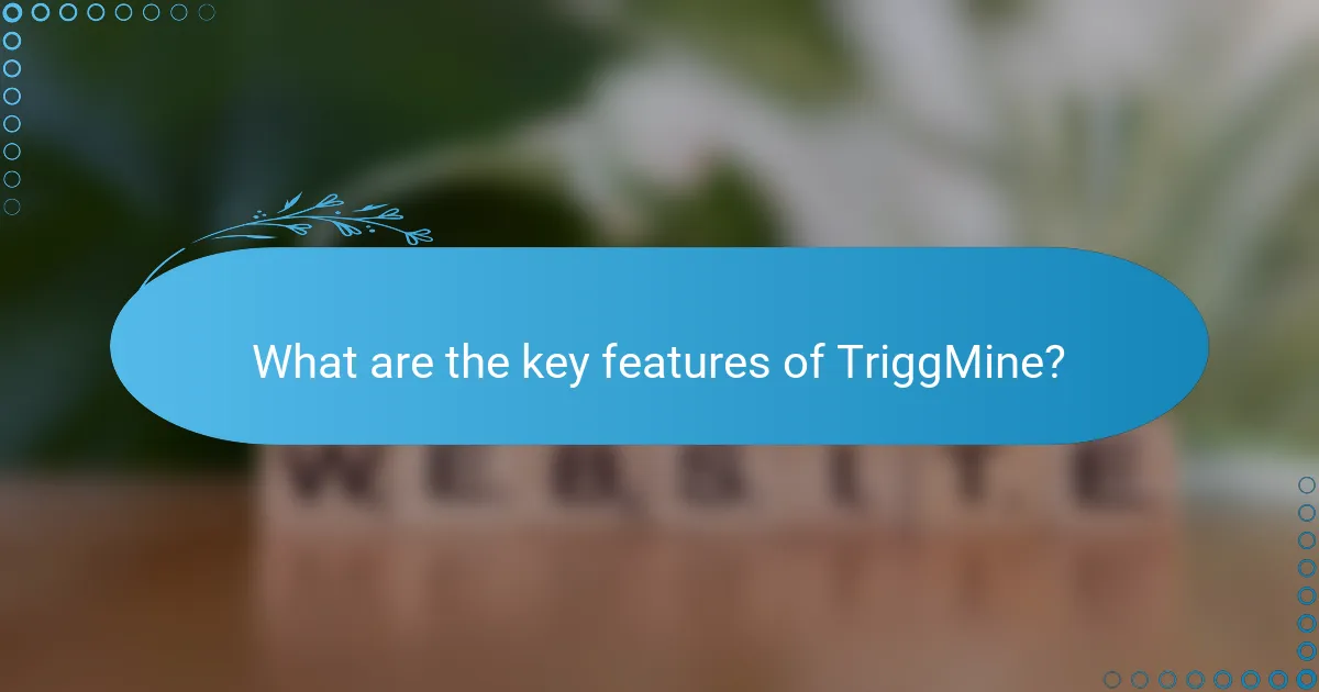 What are the key features of TriggMine?
