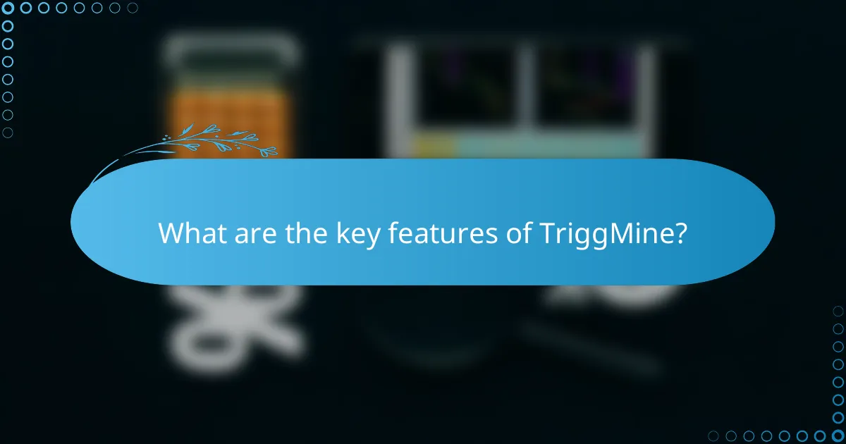 What are the key features of TriggMine?