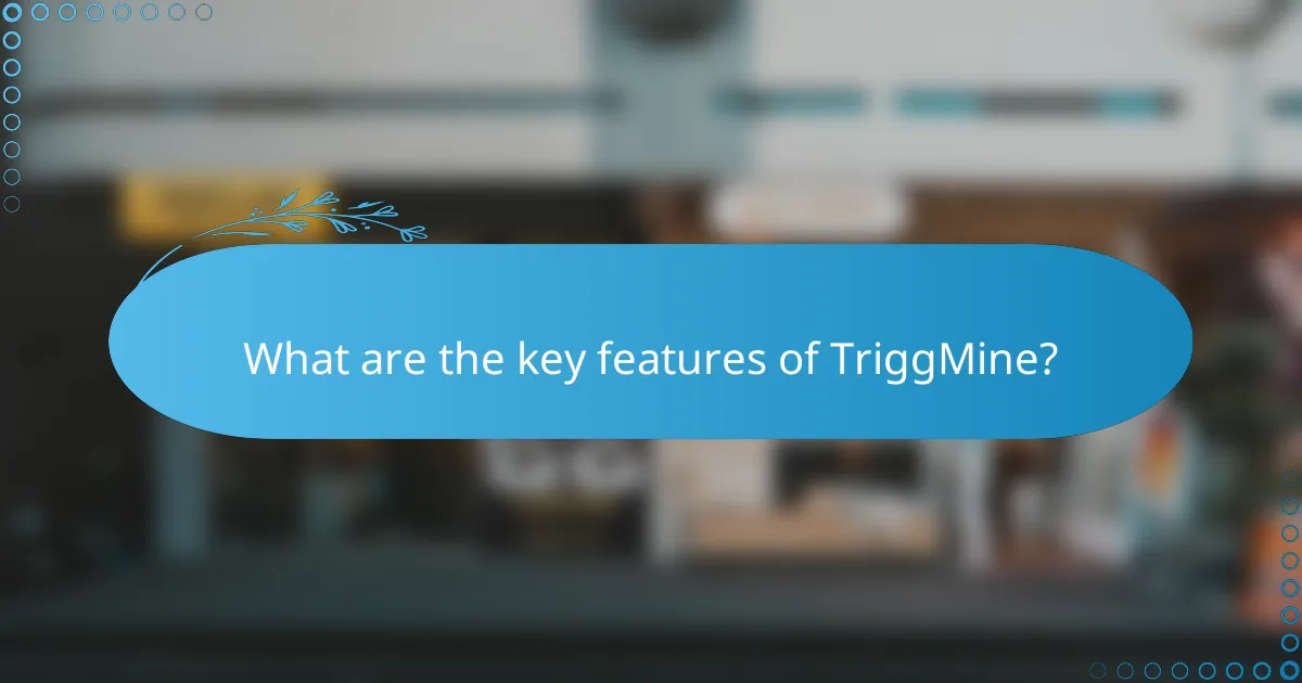 What are the key features of TriggMine?