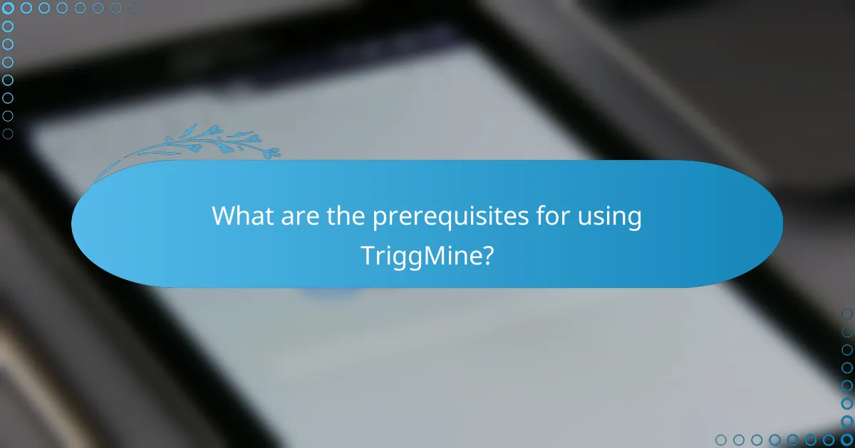 What are the prerequisites for using TriggMine?