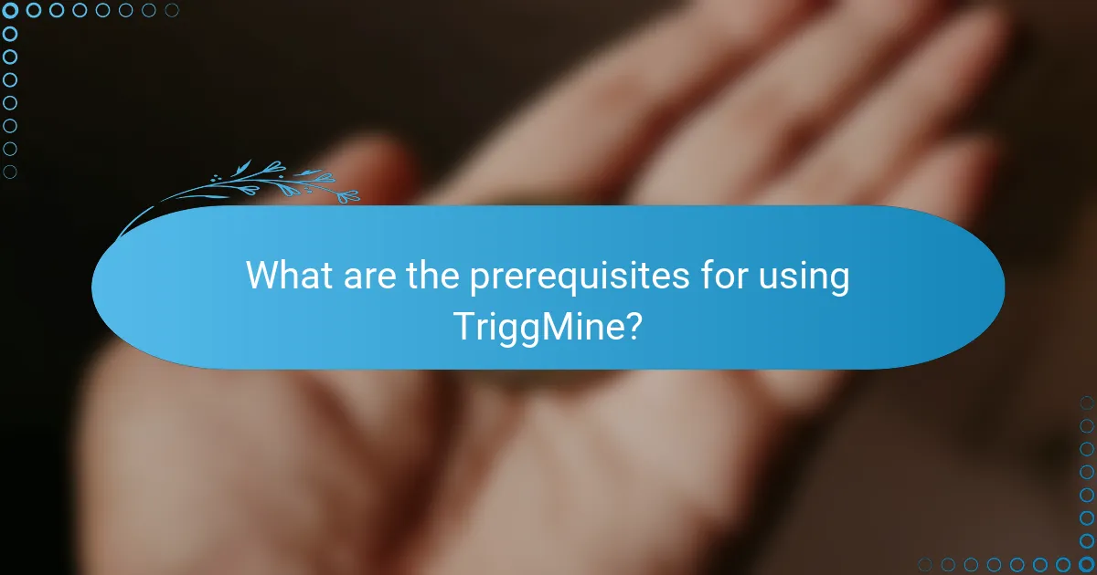 What are the prerequisites for using TriggMine?