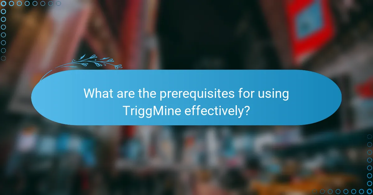 What are the prerequisites for using TriggMine effectively?