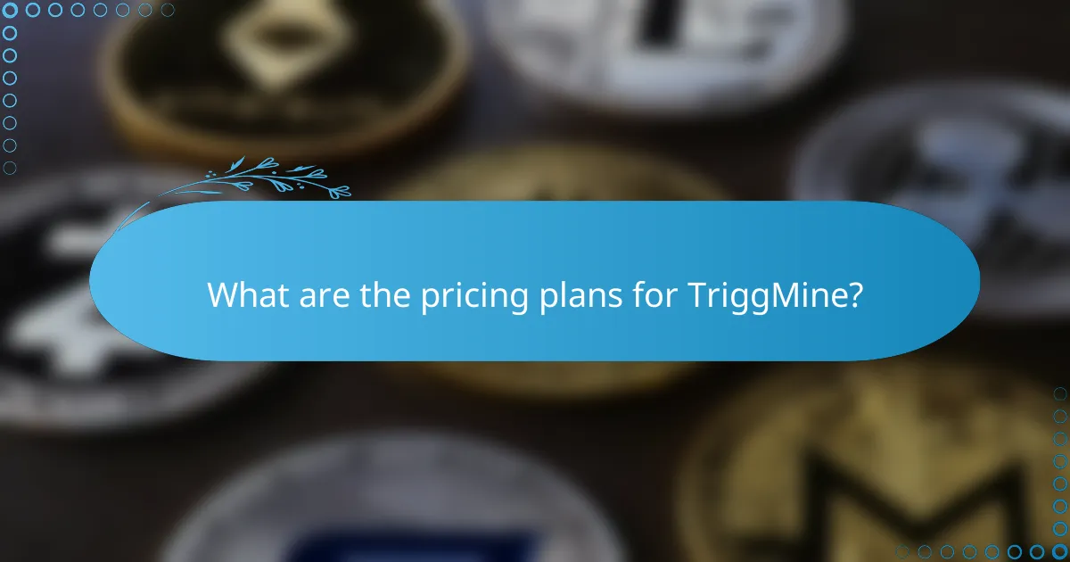 What are the pricing plans for TriggMine?