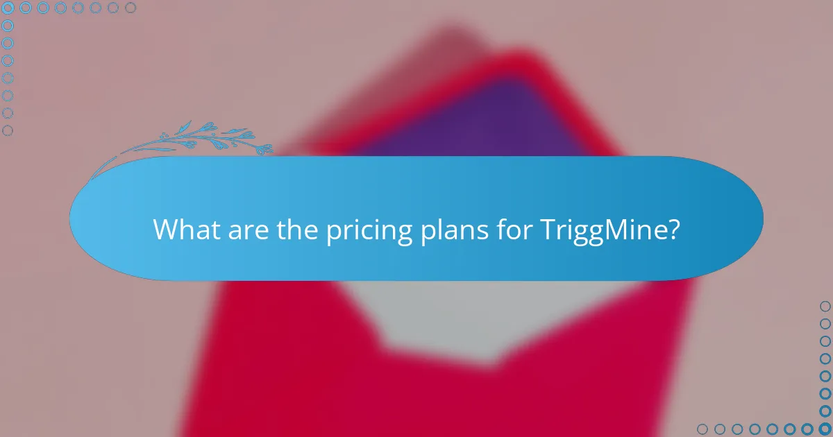 What are the pricing plans for TriggMine?