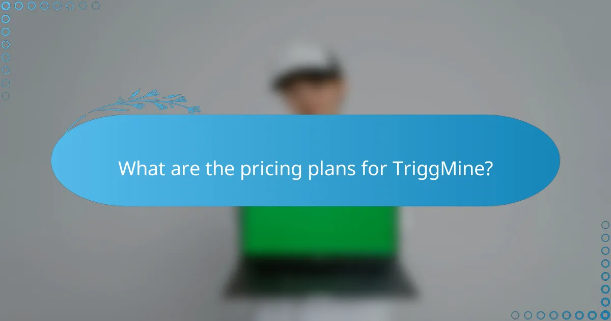 What are the pricing plans for TriggMine?