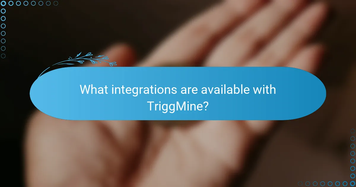 What integrations are available with TriggMine?