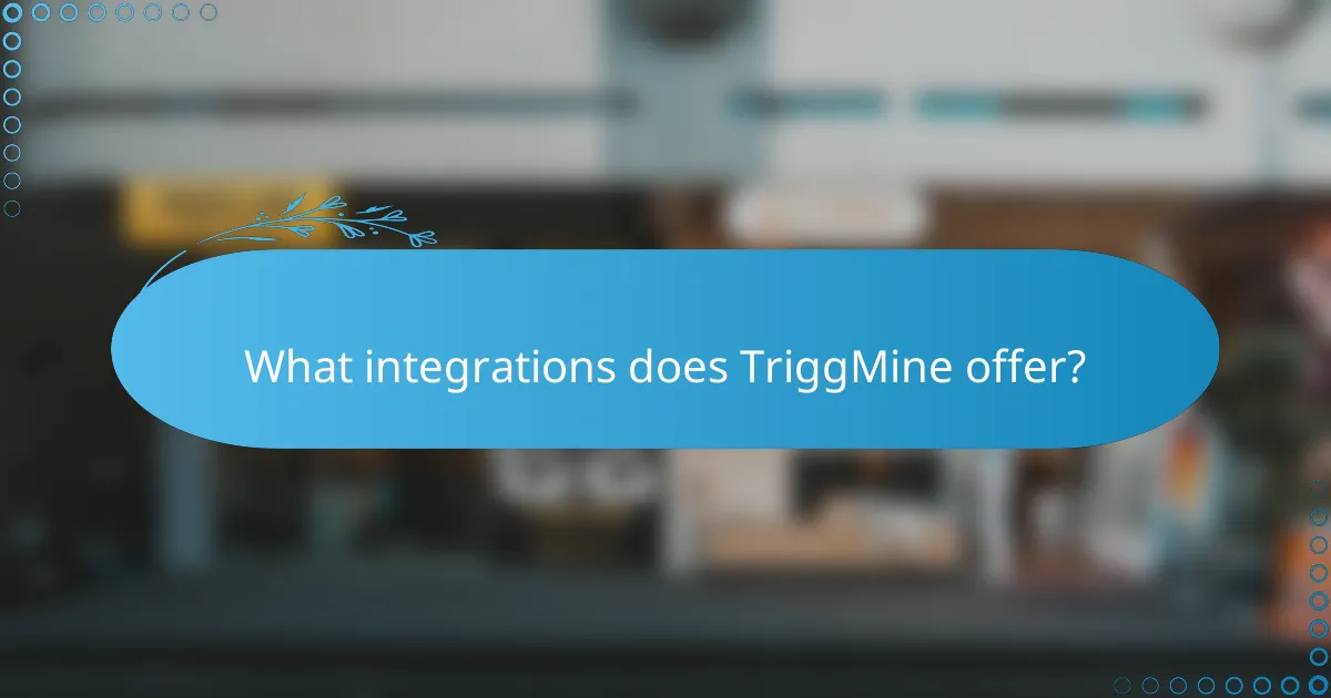 What integrations does TriggMine offer?