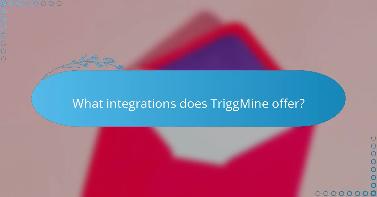 What integrations does TriggMine offer?