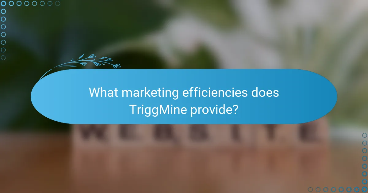 What marketing efficiencies does TriggMine provide?