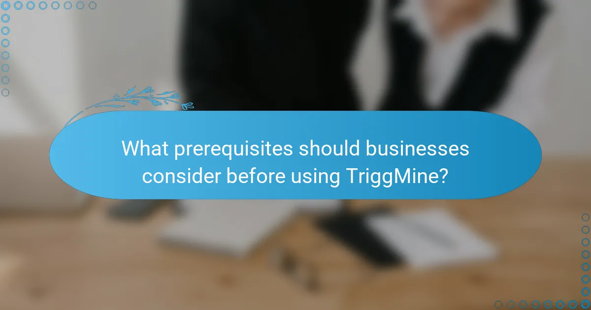 What prerequisites should businesses consider before using TriggMine?