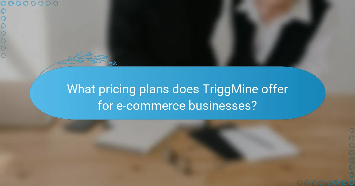 What pricing plans does TriggMine offer for e-commerce businesses?